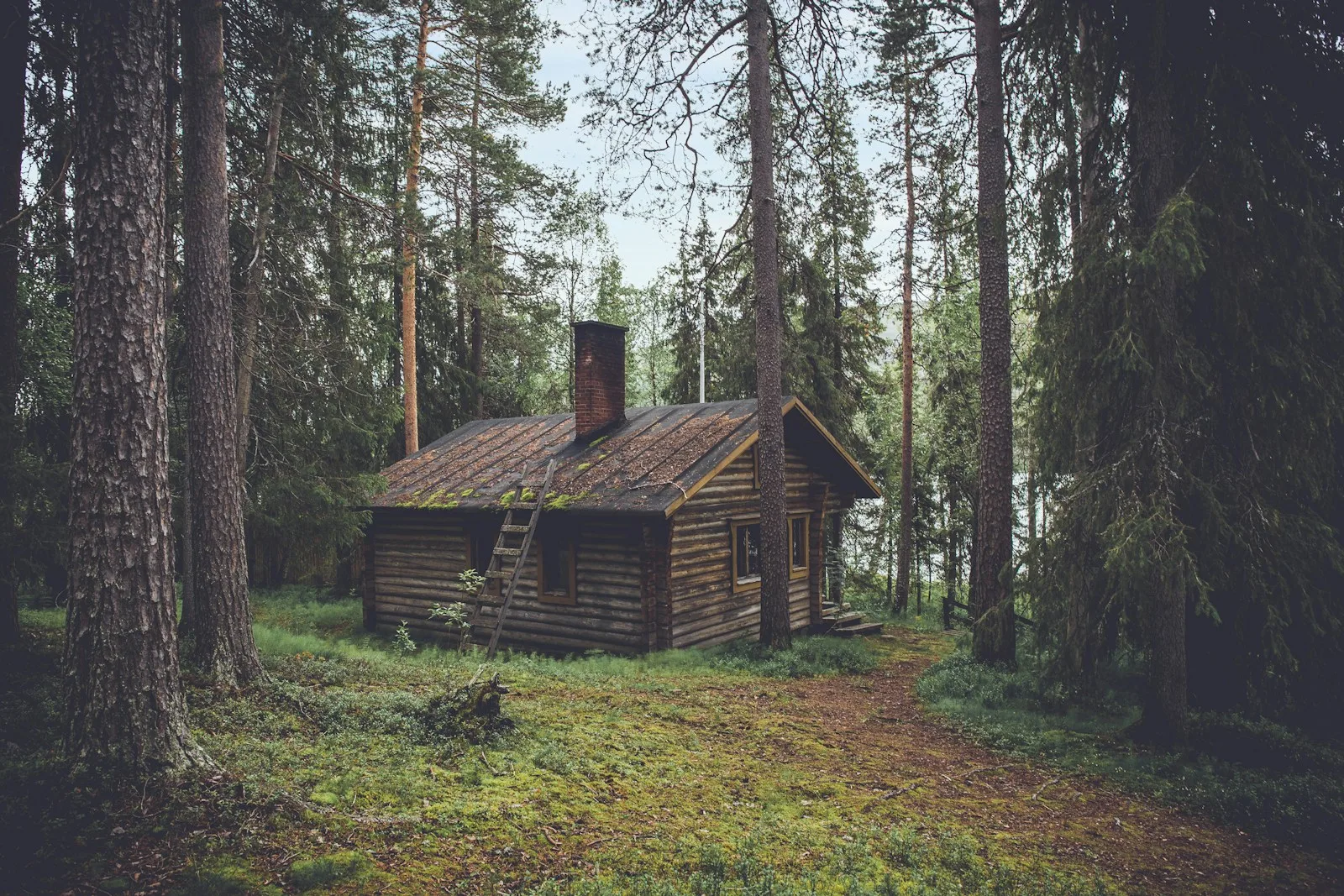 トレーラーキャビン